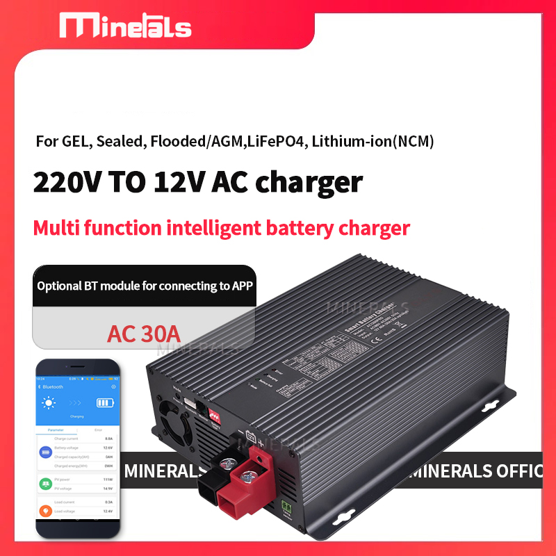 Cargador de Baterías Inteligen - Lithium Battery 12V reseña y precio